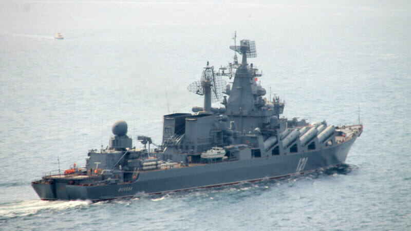 Războiul din Marea Neagră ne lasă fără delfini! E prea mult zgomot