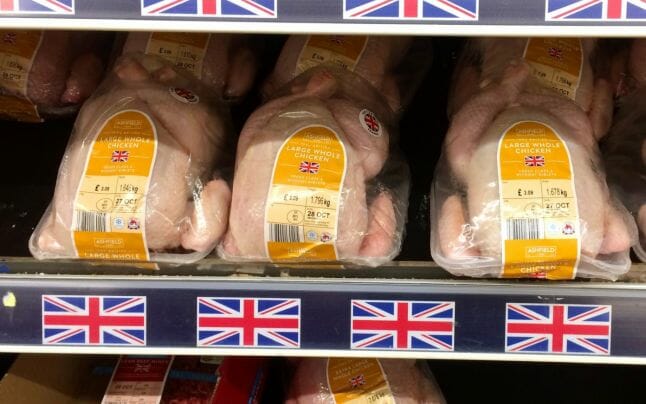 Propaganda rusă anunţă că Marea Britanie e în pragul canibalismului din cauza crizei alimentare