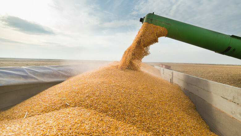 Rusia, acuzată că provoacă un „război al cerealelor”. Rolul pe care l-ar putea avea România în soluţionarea lui