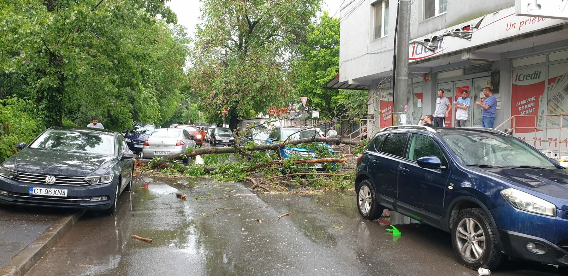 Ploile au făcut RAVAGII în București. Un copac a căzut peste o mașină FOTO