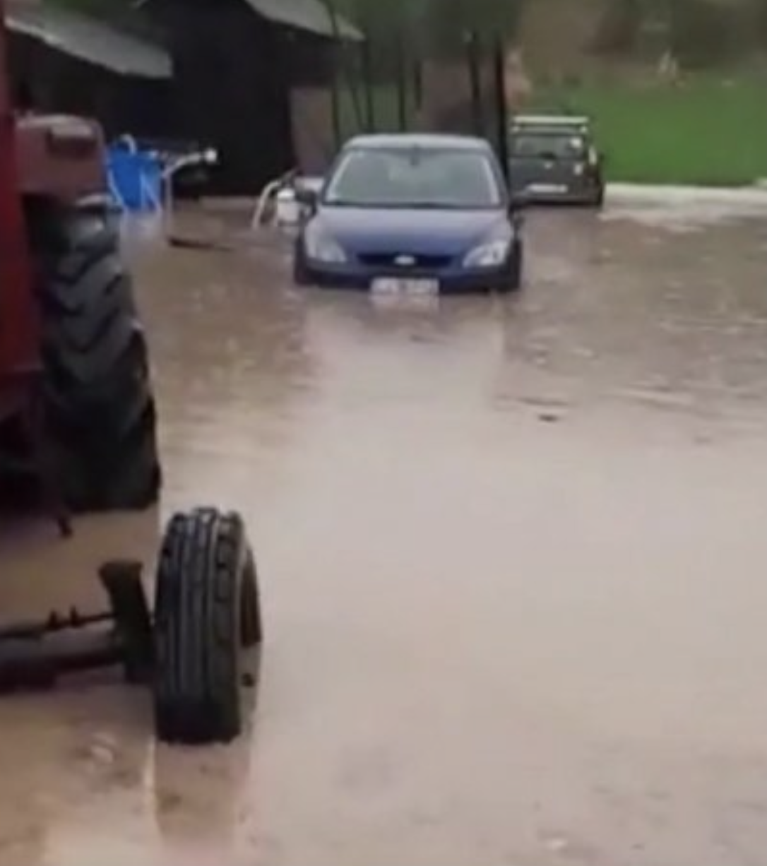 Vremea rea a făcut ravagii în România! Mașini măturate de ape și zeci de copaci căzuți