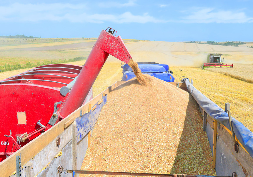Organizaţia ONU pentru Alimentaţie şi Agricultură primeşte 17 milioane de dolari din partea Japoniei pentru a rezolva problemele de depozitare a cerealelor din Ucraina