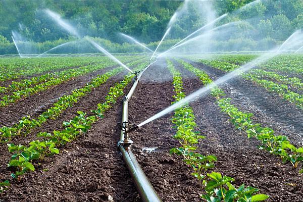 Ministerul Agriculturii alocă 1,5 miliarde de euro pentru infrastructura de irigaţii, desecare şi drenaj