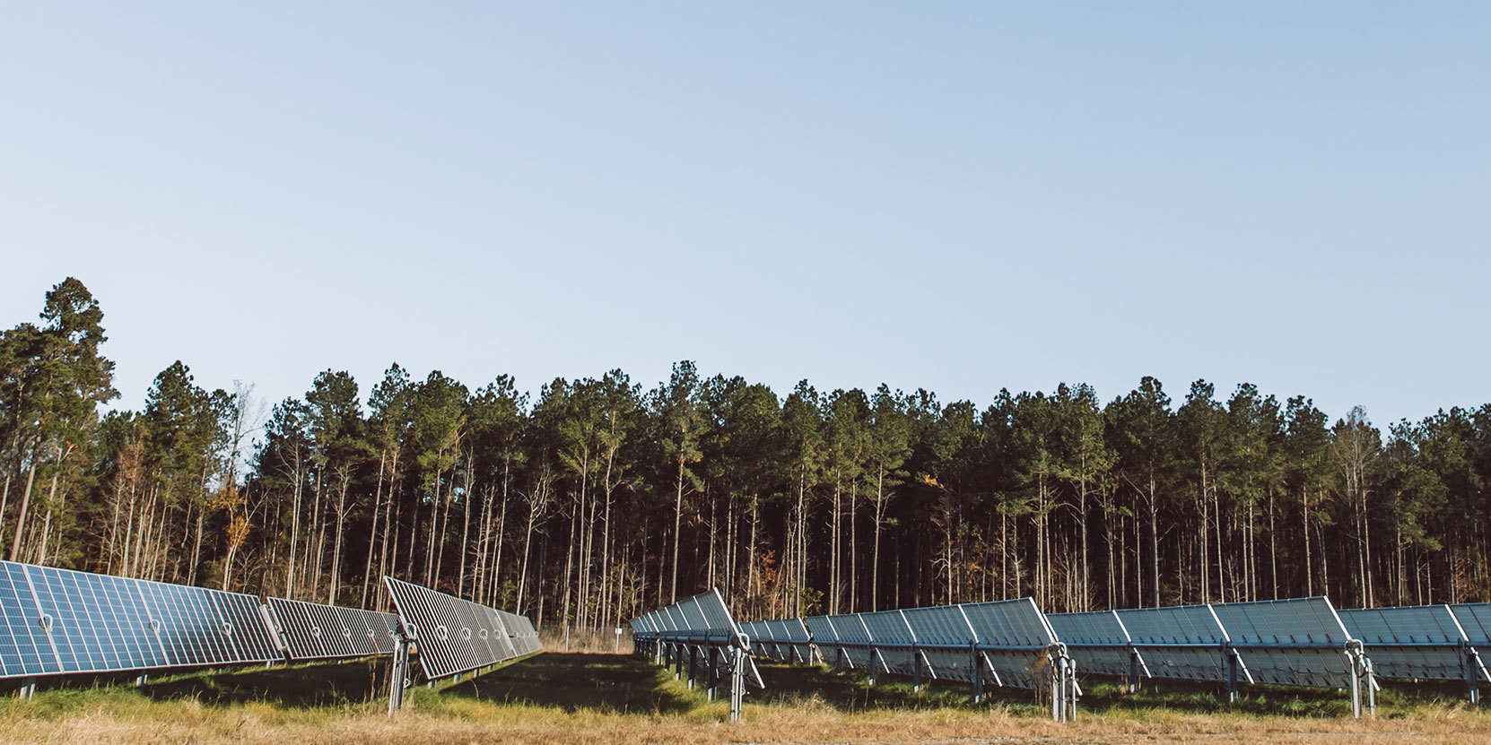 EDPR achiziţionează o platformă de dezvoltare a proiectelor fotovoltaice din Germania