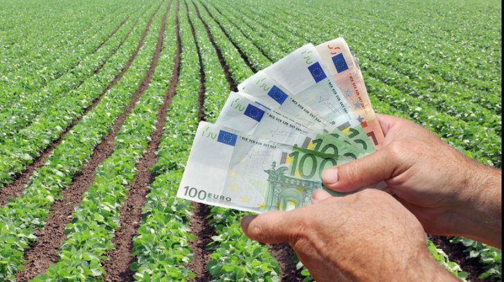 Agenţia pentru Finanţarea Investiţiilor Rurale: Peste 1.300 de mici fermieri vor primi 20 de milioane de euro, fonduri europene nerambursabile acordate