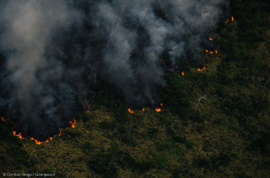 Numărul incendiilor de pădure din Amazonia, în creştere în iulie faţă de aceeaşi lună a anului trecut