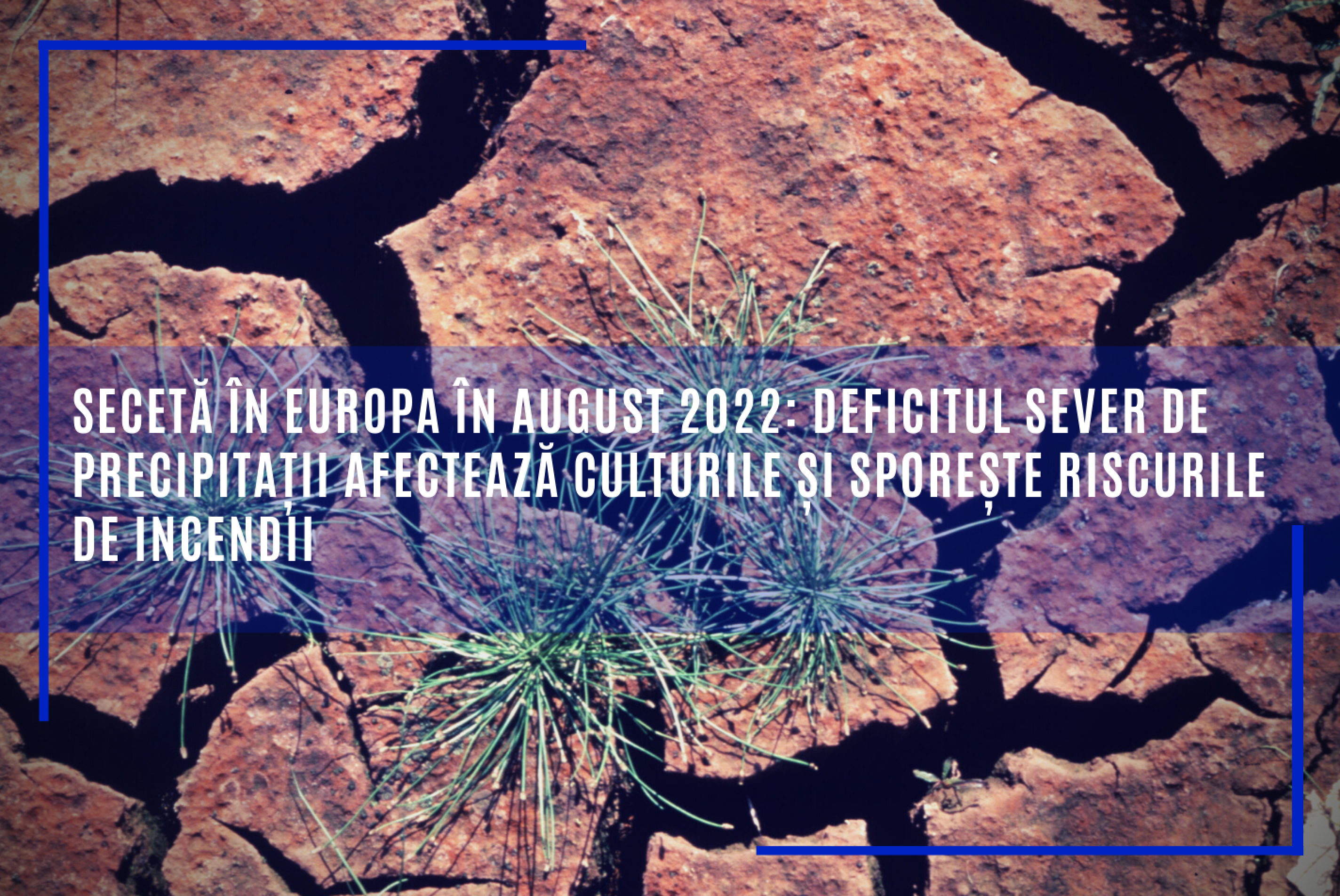Raportul Comisiei Europene privind seceta, pe luna august: Deficitul sever de precipitaţii afectează culturile şi sporeşte riscurile de incendii. Seceta actuală pare să fie în continuare cea mai gravă din ultimii cel puţin 500 de ani