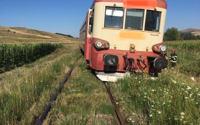 Un tren Regio a deraiat după ce a lovit o vacă, în Mureș!