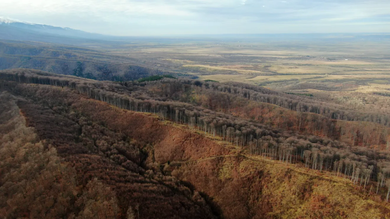 Presa franceză știe cine taie pădurile din România: <strong>„Oamenii nu se pot încălzi deloc”</strong>