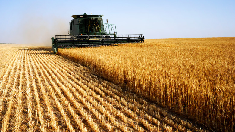 Terenul arabil din România, mai scump decât în Franța
