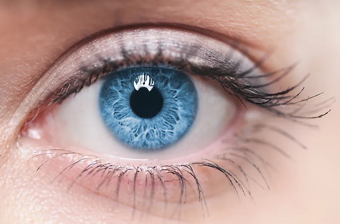 Ce caracteristici au persoanele cu ochi albaștri