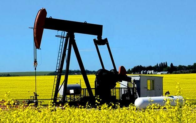 Federaţia Patronală Petrol şi Gaze: Noul proiect de suprataxare a sectorului de petrol şi gaze pune în pericol viitoarele investiţii pentru securitatea energetică a Romaniei