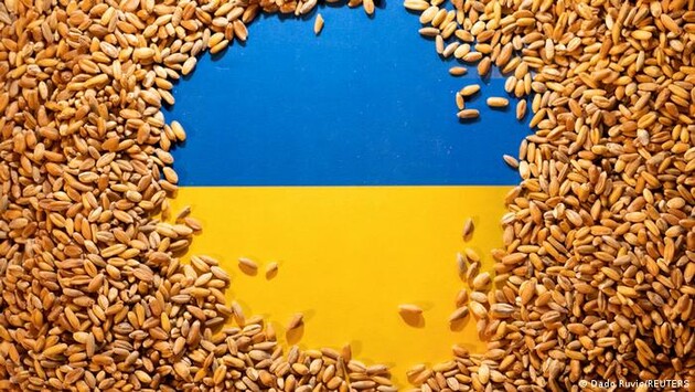Prețurile mici la grâul ucrainean afectează deja Polonia, Slovacia, Ungaria, România și Bulgaria