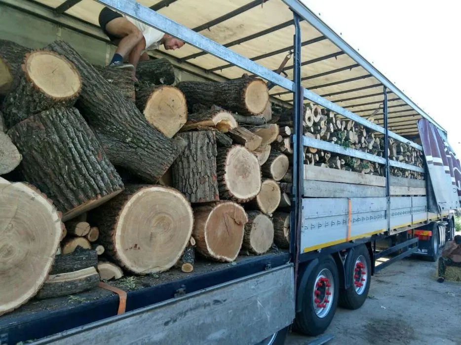 După gaz și curent, România vinde Moldovei și lemne de foc
