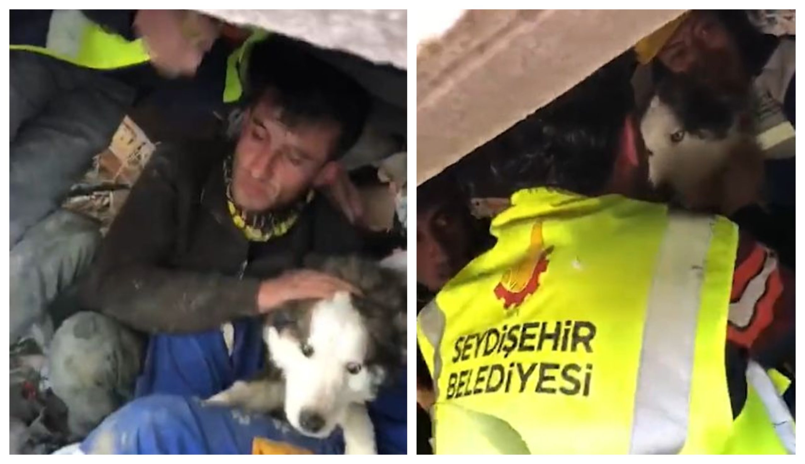 Ce minune! Un husky a fost salvat de sub ruine, la 23 de zile după cutremurul din Turcia. FOTO