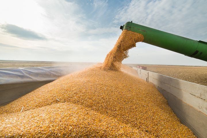 Traderul de produse agricole Louis Dreyfus a obţinut o creştere de 44% a profitului net în 2022, datorită preţurilor mari şi a cererii puternice