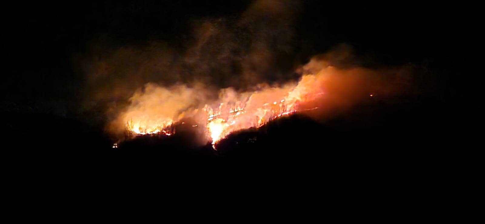 Noapte grea pentru pompieri. A luat foc o pădure de lângă Slănic Moldova