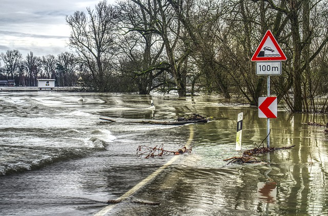 Poziția PAID, în contextul problemelor Euroins: Asigurarea împotriva dezastrelor naturale rămâne valabilă
