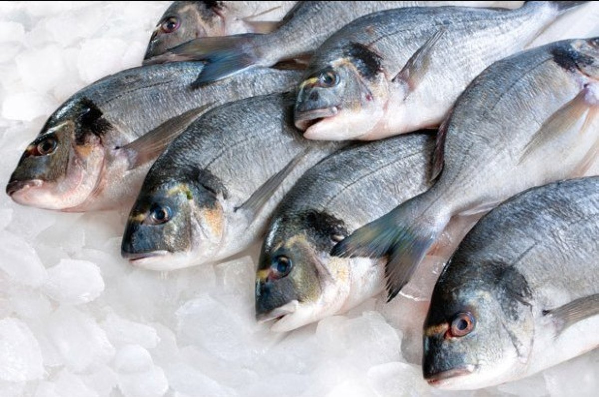 Cât costă un kilogram de pește de Buna Vestire. Haos în piețele din România