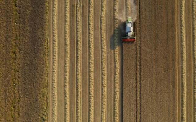 Slovacia suspendă importurile de cereale din Ucraina. Măsuri similare din Polonia și Ungaria, respinse de Comisia Europeană