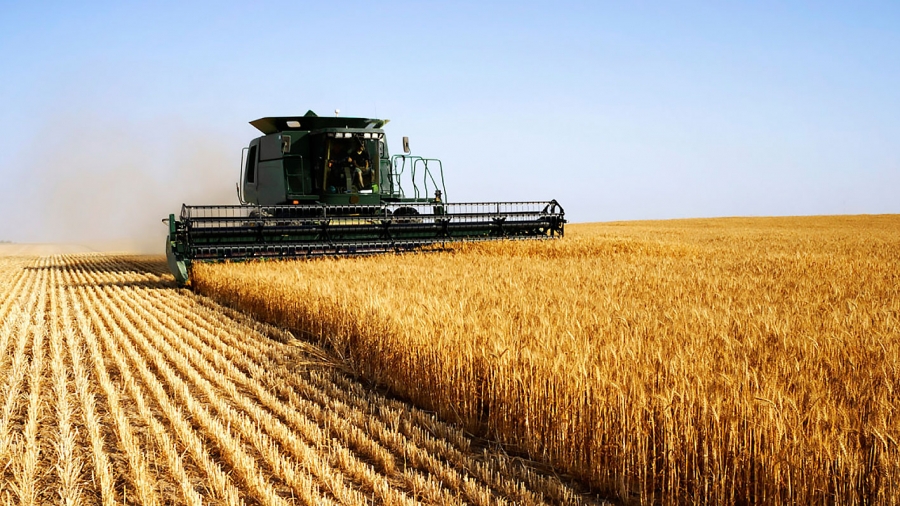Vom avea un an agricol excelent, dar mărfurile din Ucraina îi îngrijorează pe producători
