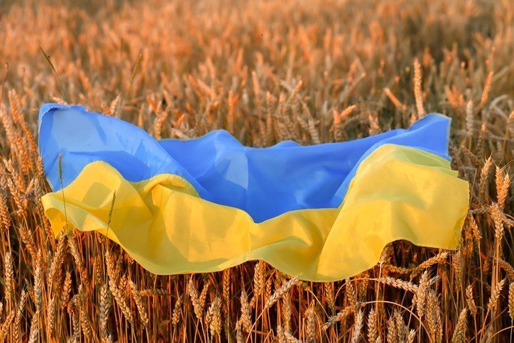 Statele vecine Ucrainei, inclusiv România, cer Comisiei Europene să modifice şi să extindă interdicţia importurilor de alimente din Ucraina – presă