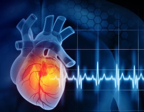 Inimile crescute în laborator ar putea fi soluția pentru cardiaci