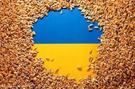 Scandalul cerealelor din Ucraina. Ajutor de 100 de milioane de euro pentru cinci ţări est-europene, inclusiv România