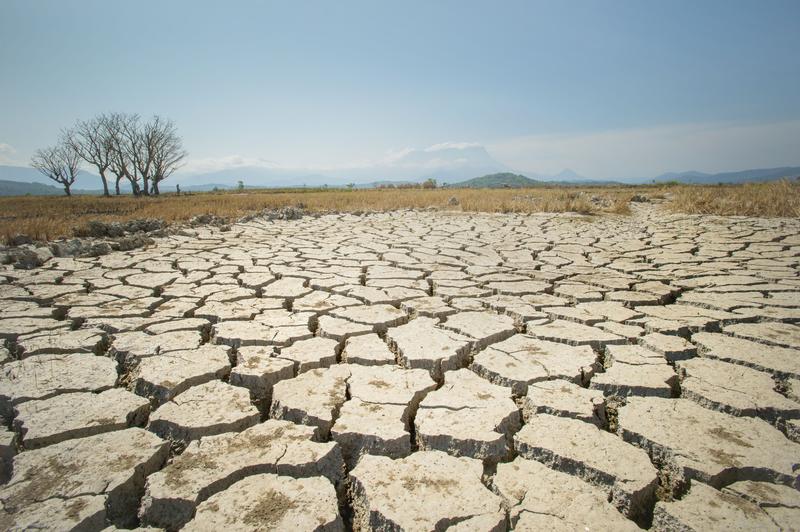 Comisia Europeană va sprijini statele membre aflate în situația de secetă. Ce sumă alocă