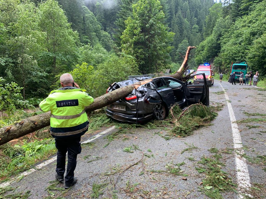 Furtună pe Transalpina! Un copac a căzut pe o mașină care era în trafic. O femeie a murit