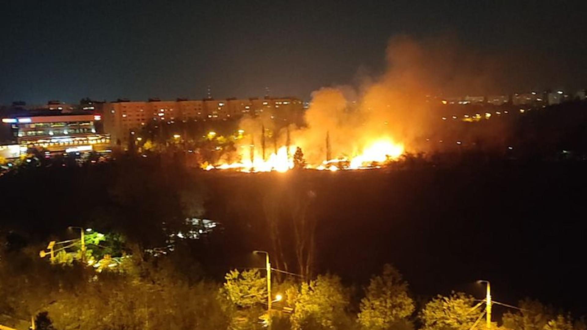 Incendiu puternic în zona retrocedată din Parcul IOR din Capitală