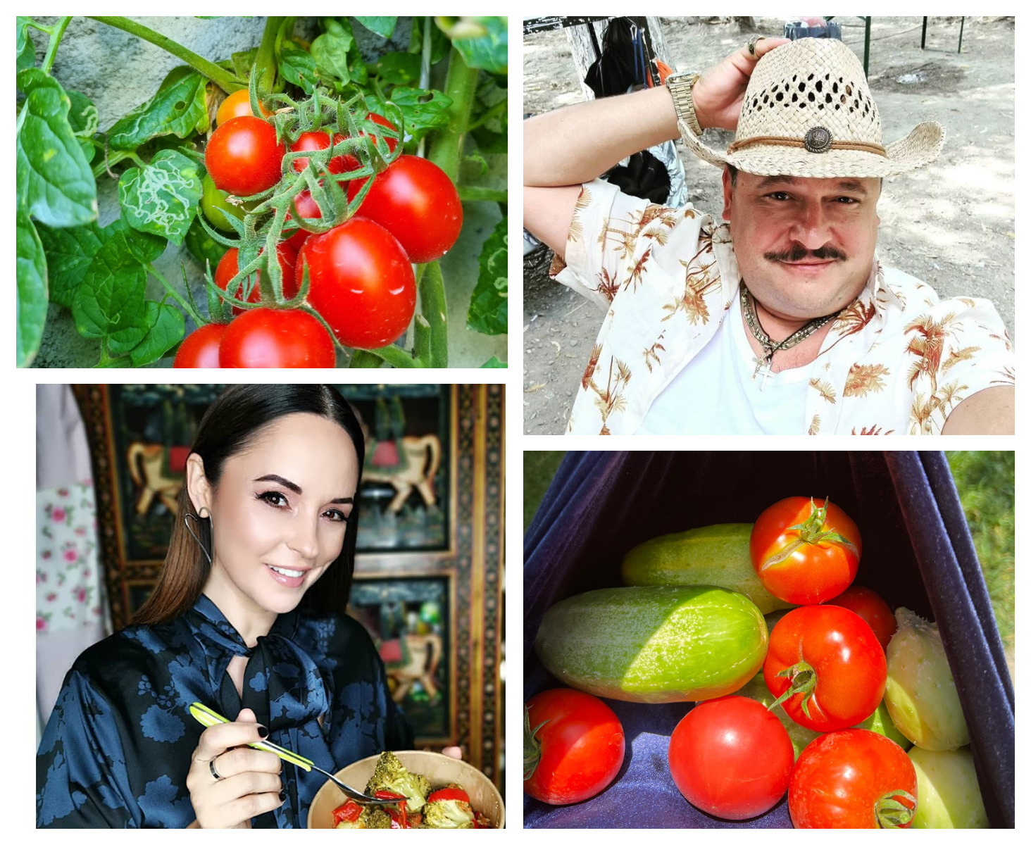 Legumicultorii celebri de București! Andreea Marin, Bobonete și Tavi Colen au investit în grădini. Produc roșii în cele mai scumpe zone din Capitală /FOTO!