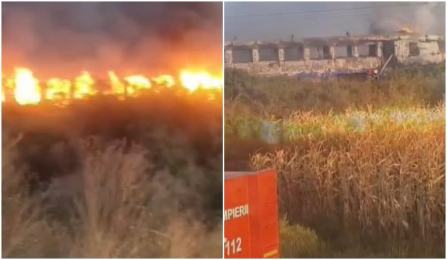Reacția lui Sorin Grindeanu după ce un tren a luat foc în județul Bihor: De peste 25 de ani în România nu s-a cumpărat nicio garnitură nouă