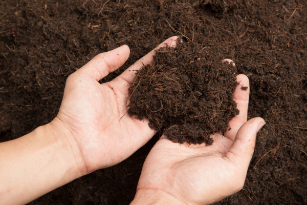 Dezinfectia solului – Metode eficiente pentru protejarea culturilor