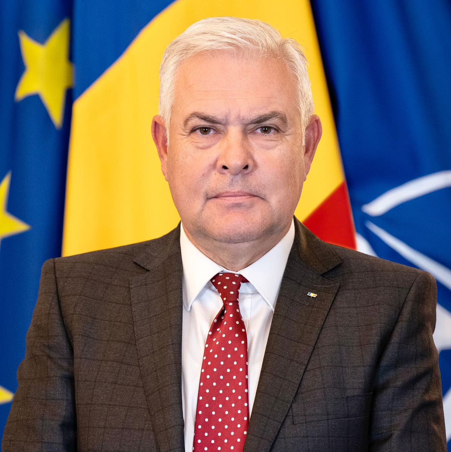 Ministrul Apărării a transmis că Slovenia, Italia şi Spania vor trimite militari în România