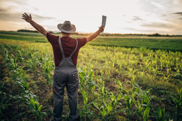 Top 4 calitati ale unui fermier de succes – O perspectiva asupra agriculturii moderne