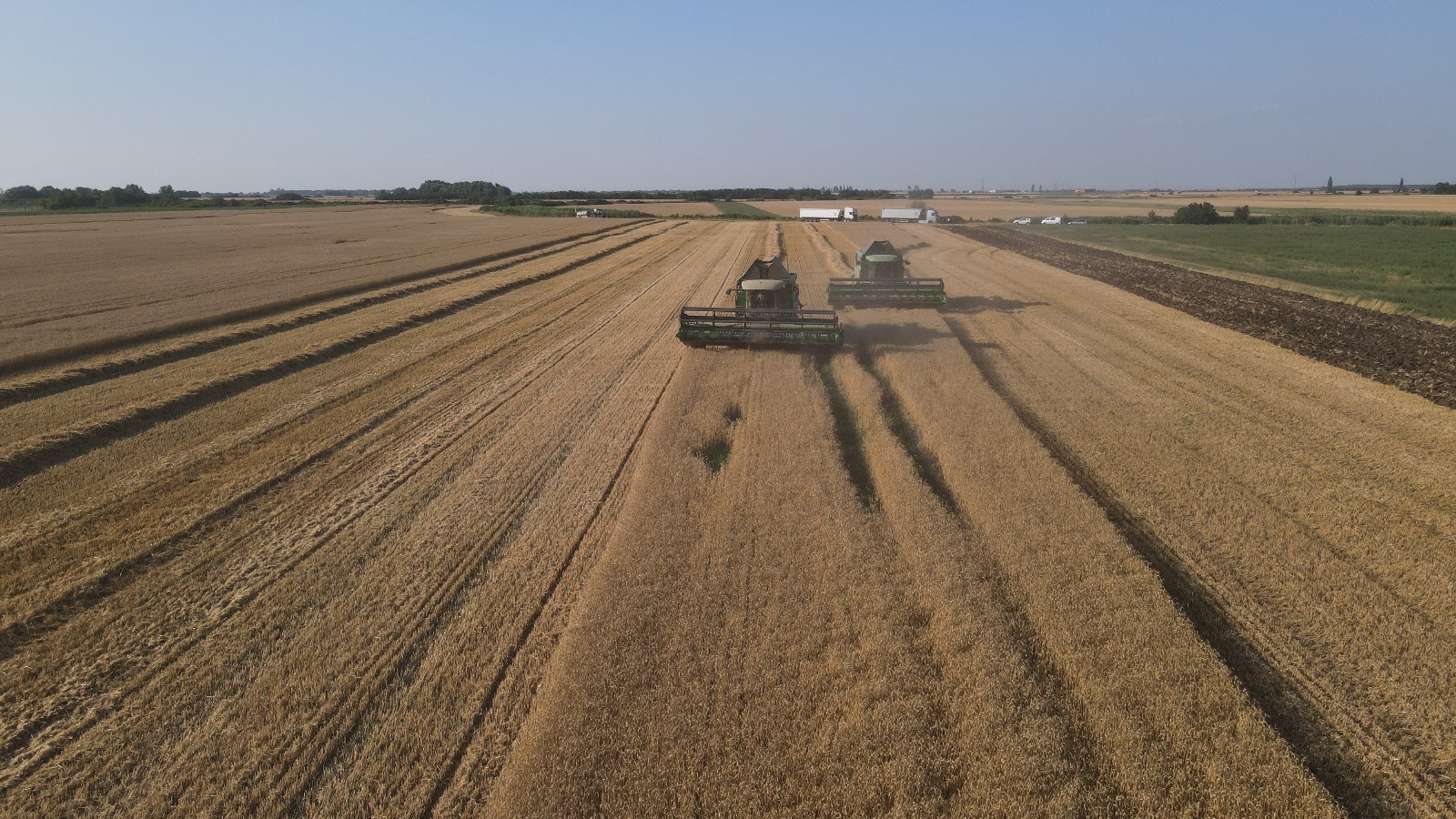 AGRO IFN SA, instrumentul de finanţare pentru sectorul agricol lansat de holdingul de agricultură al ROCA Investments, a primit avizul Băncii Naţionale a României