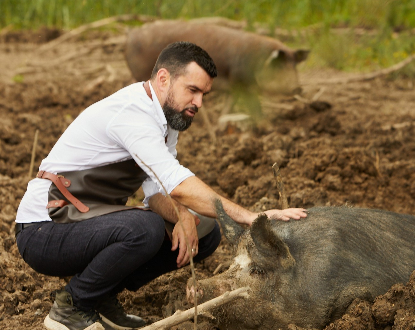 Vlad Miriță vinde porci Mangalița cu 1.000 euro bucata! Ferma tenorului desface carne și preparate din animale și păsări crescute libere, prin pășunare
