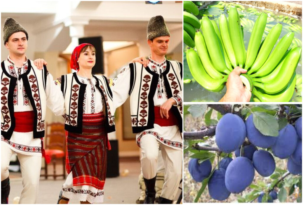 România exportă banane de 3,4 milioane de euro într-un an. Care sunt principalele piețe de desfacere