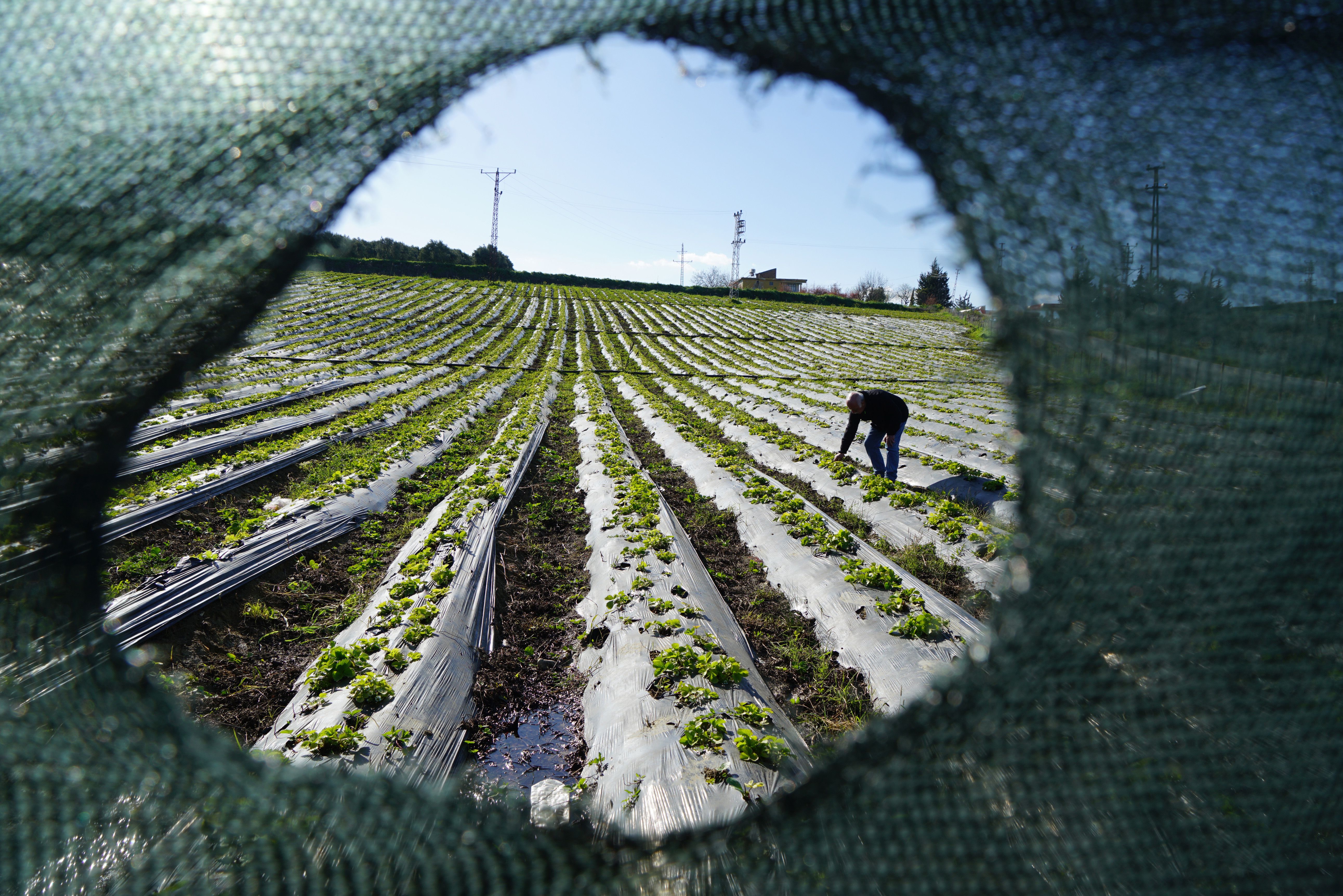 Un bărbat legat de criminalitatea organizată corsicană a fost condamnat în Franța pentru fraudă cu subvenții agricole europene
